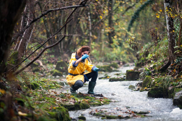 How to Clean Up Our Environment